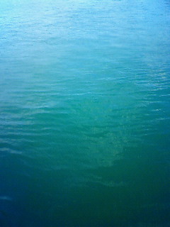 海の色.jpg
